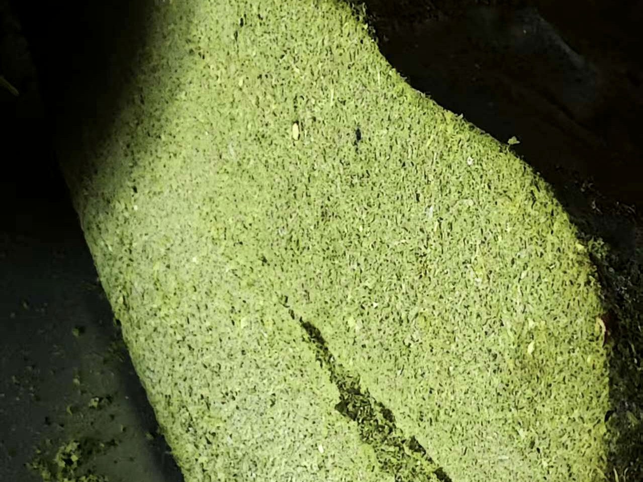 花砖截面与原料状态检查